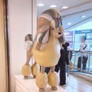 몰리스 죽전점 네이버블로그