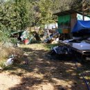 수선농장 이미지