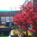 김범준트레이닝센터 이미지