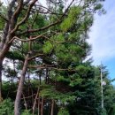 바우하우스인원주 이미지