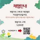 열두달미술
