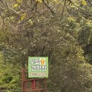 두밀숲캠핑장 | 가평 두밀숲캠핑장 인생첫 가을캠핑 도전