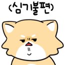 루스파 이미지