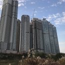 도시갤러리에서 맨날 치고박고 싸우는 세도시 이미지