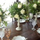 홍차 티클래스 이미지