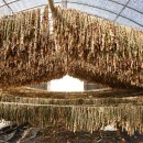 호탄영농조합법인 이미지