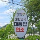 담양맛집 대통밥 원조 한상근대통밥집 담양본점 솔직후기
