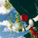 세분일레븐 강화고려점 | * 대만 * 2017.08.26 ☞ 택시투어 : 2. 지우펀(九份, Jiufen) 둘러보기 / 시먼딩 까르푸(Carrefour)