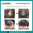 모다르헤어