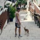 강아지와 산책 이미지