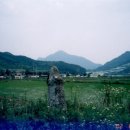 사곡리남근석 이미지