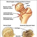 우신약국 이미지