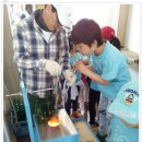충주대림초 이미지