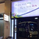 투썸플레이스삼척의료원점 | 강원도, 삼척 3박 4일 여행기 ① : WFA 삼척숙소 씨스포빌 & 문어숙회 맛집 '허구헌날'