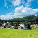 강아지숲 박물관 이미지