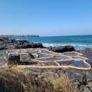 등대목장 이미지