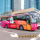 부산시티투어버스 블루라인 해운대해수욕장~기장 오시리아 버스여행