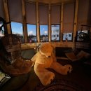 오늘호스텔 이미지