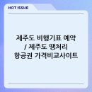 아이리스펜션민박 | 제주도 비행기표 예약 / 제주도 땡처리 항공권 가격비교사이트