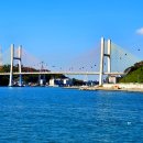 오동도
