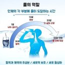 태평약국 이미지