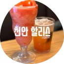 붕어의 신 | 천안 할리스 / 신부점 천안터미널 근처 가기 편한 깨끗한 카페 앝박스 옆 그리고 붕어의 신 붕어빵 가보기