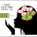 약으로 되는 것과 안 되는 것 -- [조현병-조울증-우울증] 이미지