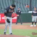 정훈미트 이미지