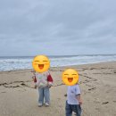 대관령 하늘 땅 펜션 | 강원도강릉1박2일맛집대관령 하늘목장방문 양먹이기체험 후기