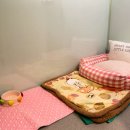 예삐애견 이미지