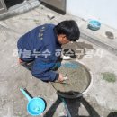 둥근섬로 이미지