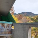대구 팔공산 카페 추천/디저트 베이커리 엔틱 카페 &#34;아노블리오&#34; 내돈내산 후기