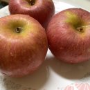 혜인농장 이미지