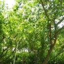 서샘물목장 이미지