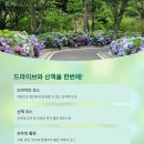 숲속 이미지