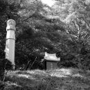 석운사 이미지