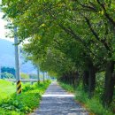 유수지공원주차장 화장실 이미지