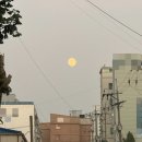 영암유진 | 어른이 되어가는(?) 10월 ᕦ(๑•̀o•́๑)ᕤ