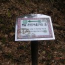 장성사 이미지