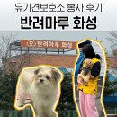 씨유 화성마도공단로점 | 유기견보호소 봉사 반려마루 화성 신청방법 주말 오전 후기