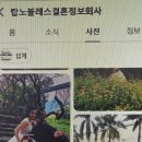 탑노블레스결혼정보 이미지