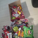 고향농장 | 할로윈캠핑후기! 상우농장갬핑장/ 친정이요 고향이다.