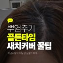 시청역 4번출구5번출구 사이 | 하남시청역 미용실 살롱드라라 후기 / 적절한 뿌염 주기와 새치커버 팁