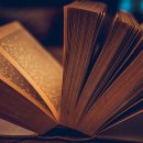 월령초등학교 | 유아학습 로드맵, 3월 시작 월령별 맞춤 교육 꿀팁