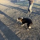 한라산교회 | 아이슬란드 경훈투어 후기_1