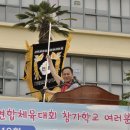 산호초등학교 이미지