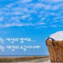 빛과 소금 이미지