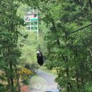 좌구산휴양랜드 이미지