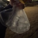 석현리 | 강원도 애견동반 캠핑장 추천｜울타리 있는 민트초코캠핑장 B-4 사이트 후기