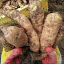 혜원농장 이미지